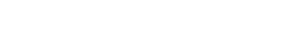 Logo blanco Mirko Micunovic